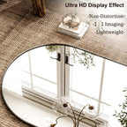 HARRITPURE 64"x21" Arched Full Length Mirror Floor Mirrors with Aluminum Alloy Frame Free-Standing Wall Mounted or Leaning Large Bedroom Dressing Mirror Modern & Contemporary Decor for Home,Black