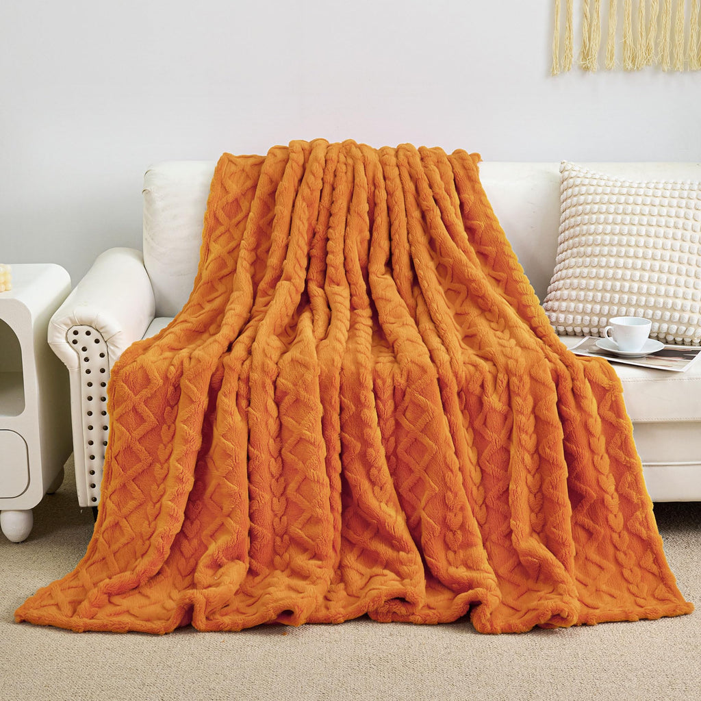 Aganear Fleece Throw Blanket - Cozy Soft Lightweight Fuzzy Throw Blanket for Women Portable Throw Blankets for Couch, Warm Present for Birthday, Christmas, Halloween, Housewarming(50"x60", Khaki)