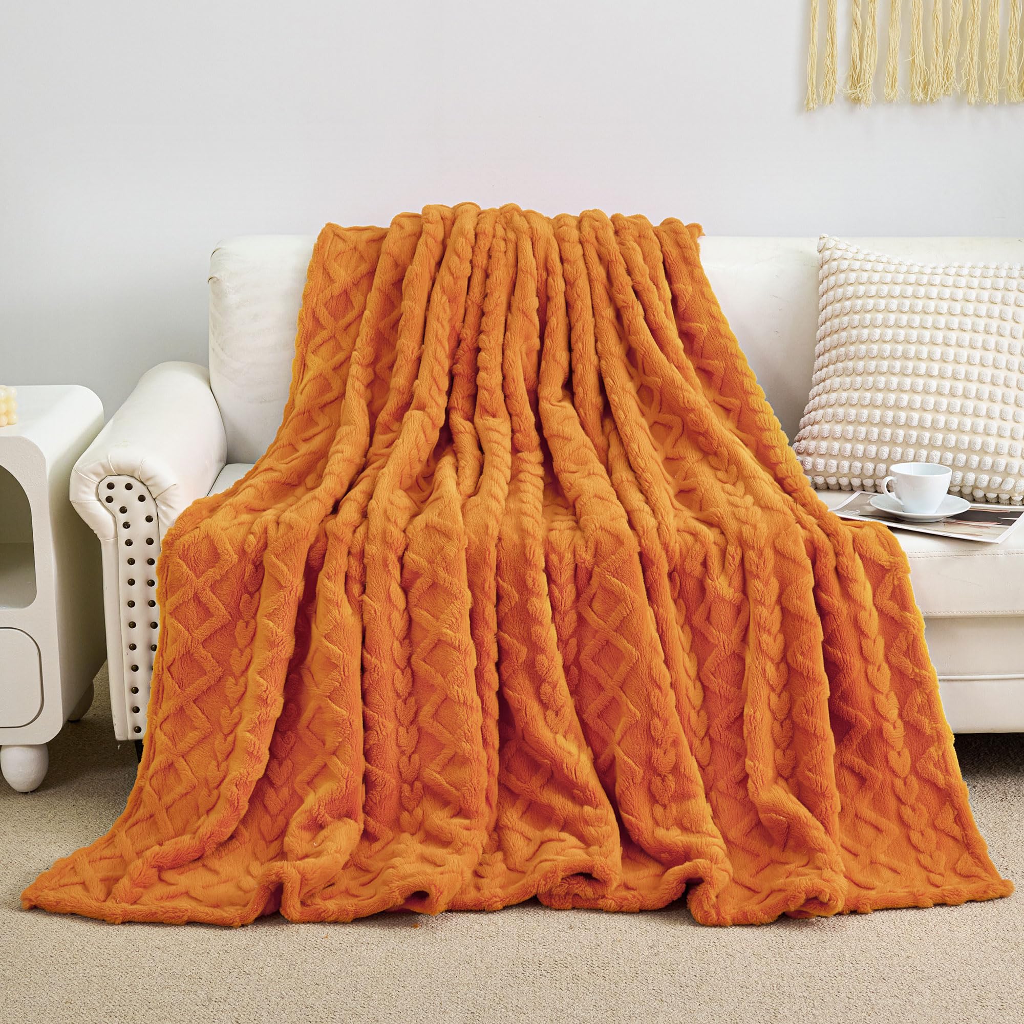 Aganear Fleece Throw Blanket - Cozy Soft Lightweight Fuzzy Throw Blanket for Women Portable Throw Blankets for Couch, Warm Present for Birthday, Christmas, Halloween, Housewarming(50"x60", Khaki)