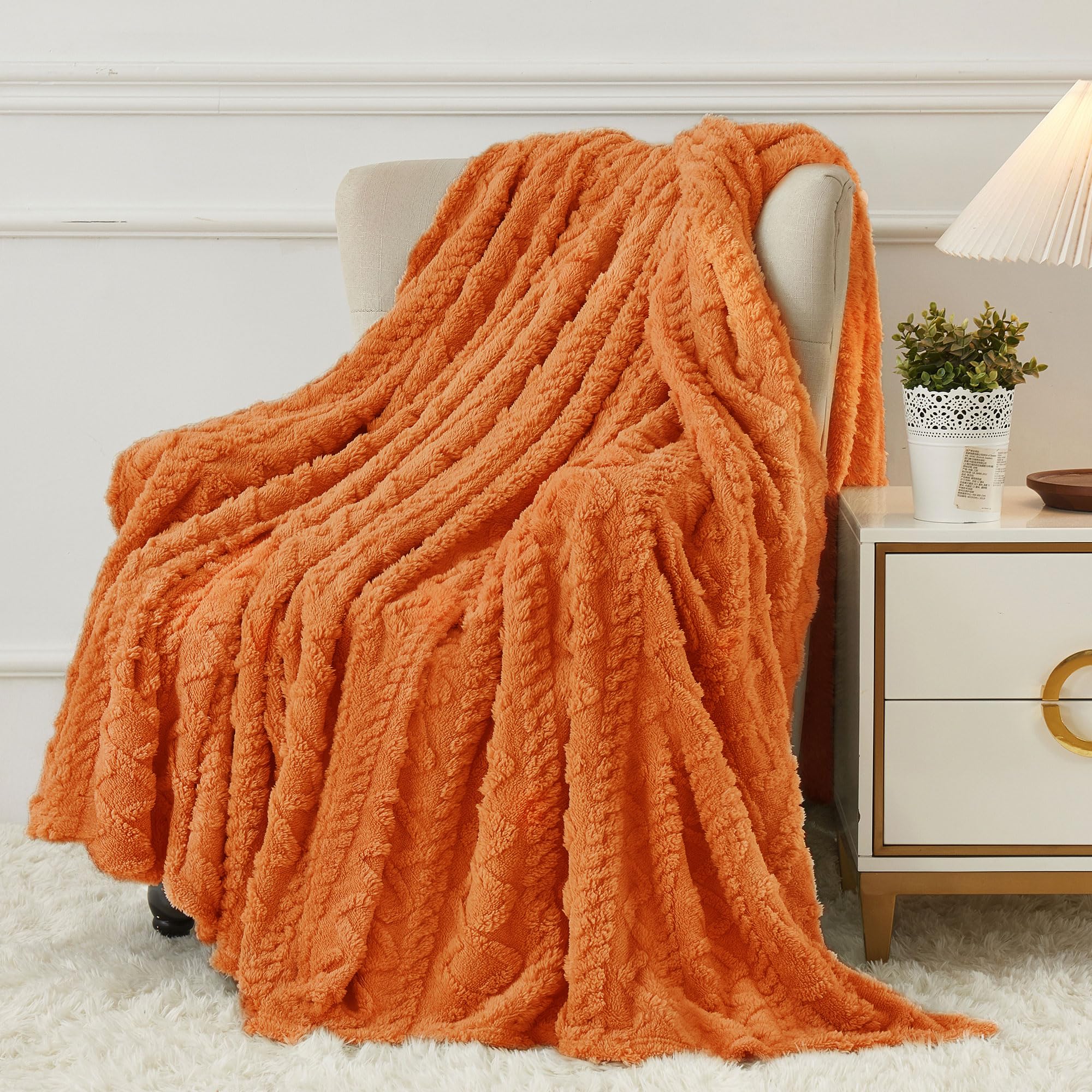 Aganear Fleece Throw Blanket - Cozy Soft Lightweight Fuzzy Throw Blanket for Women Portable Throw Blankets for Couch, Warm Present for Birthday, Christmas, Halloween, Housewarming(50"x60", Khaki)